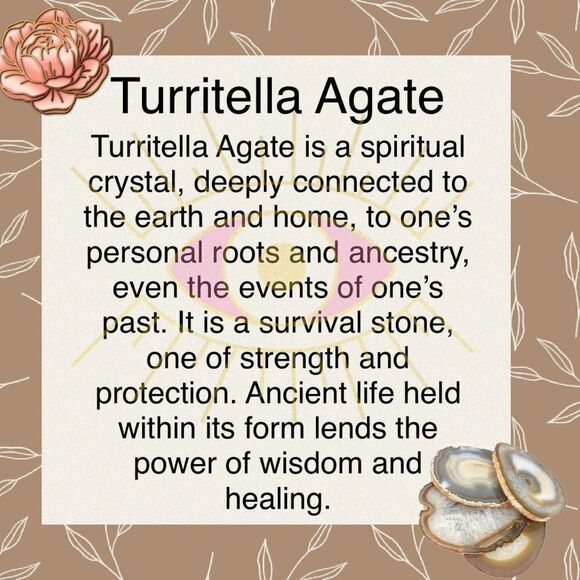 Turritella Jasper Sterling Silver Starfish Necklace Popcorn Chain - Picture 7 of 7